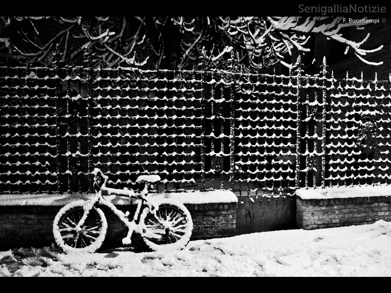 17/02/2012 - Bicicletta innevata