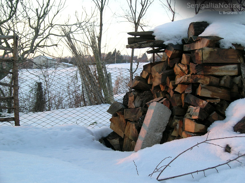 18/02/2012 - Legna sotto lo neve
