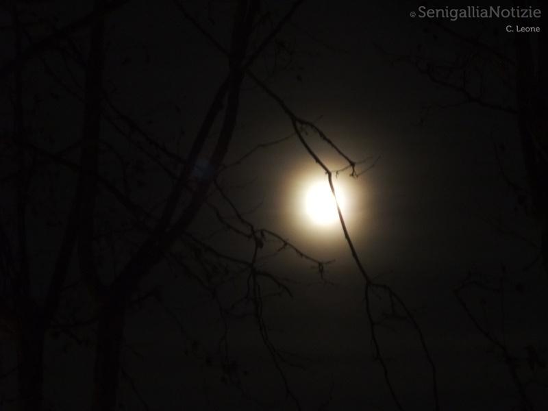 08/02/2013 - Notte di luna piena