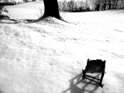 03/02/2013 - Cosa emerge dalle neve