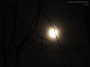08/02/2013 - Notte di luna piena