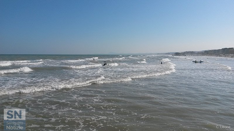 02/02/2016 - Surf nel mare di Senigallia