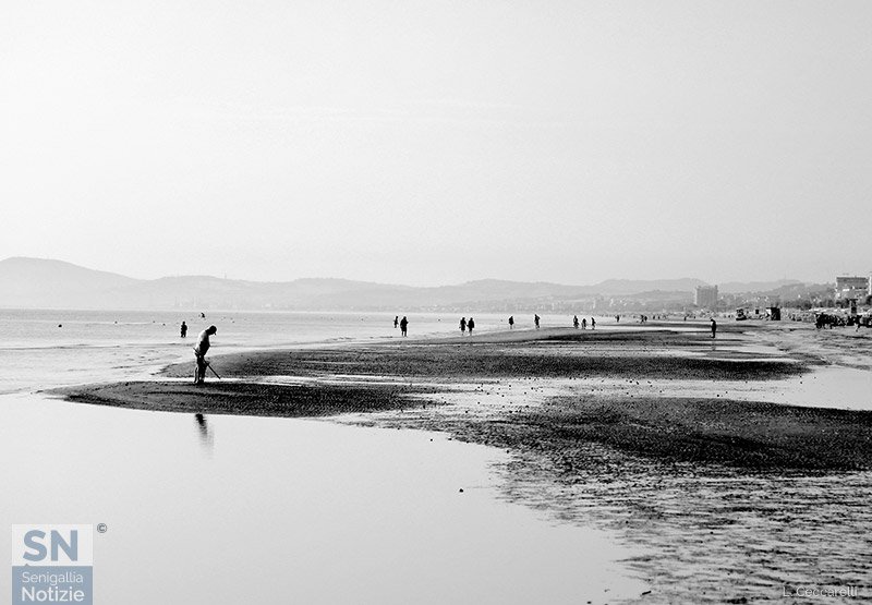 22/02/2016 - Avventori della bassa marea