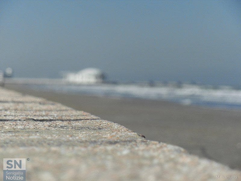 29/02/2016 - Immagina la Rotonda...