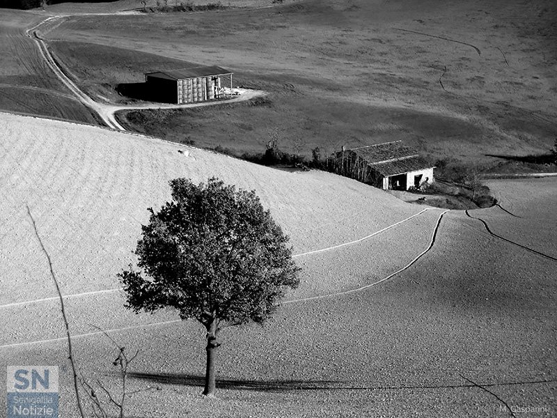 01/02/2017 - Terre marchigiane