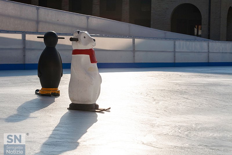 03/02/2017 - Sul ghiaccio