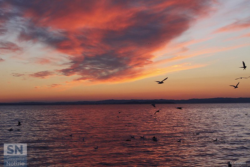 06/02/2017 - Come sopra, così sotto