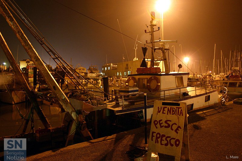 13/02/2017 - Vendita pesce fresco