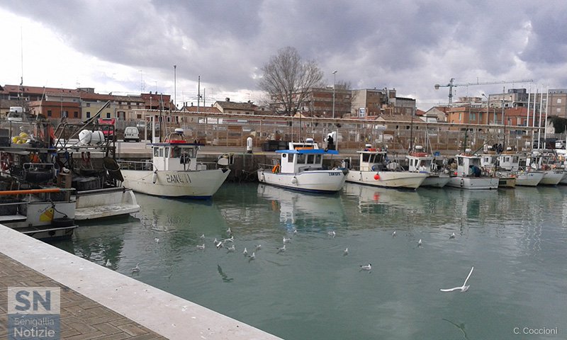 14/02/2017 - Pescherecci ormeggiati