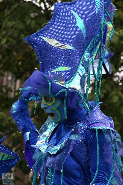 18/02/2017 - Stupore