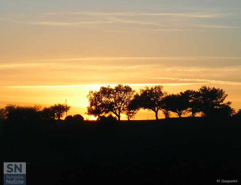 19/02/2017 - Bagliori della sera