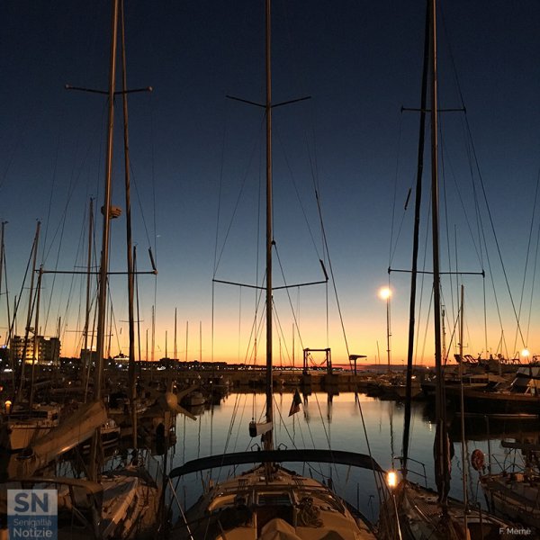 23/02/2017 - Alberi al tramonto