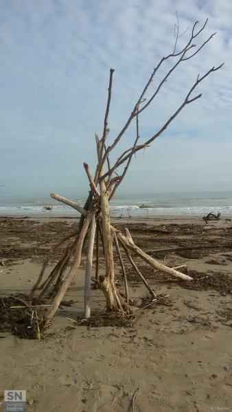 24/02/2017 - Capanna di fortuna?