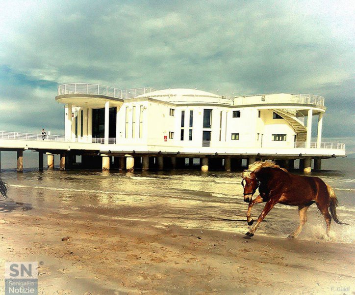 25/02/2017 - Cavalcare sulla spiaggia