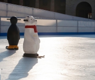 03/02/2017 - Sul ghiaccio