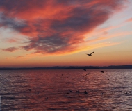 06/02/2017 - Come sopra, così sotto