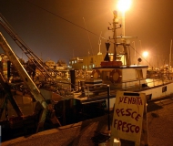 13/02/2017 - Vendita pesce fresco