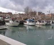 14/02/2017 - Pescherecci ormeggiati