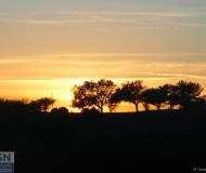 19/02/2017 - Bagliori della sera