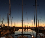 23/02/2017 - Alberi al tramonto