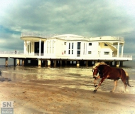 25/02/2017 - Cavalcare sulla spiaggia