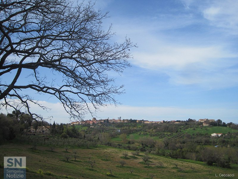 07/02/2018 - Scapezzano a fare da sfondo
