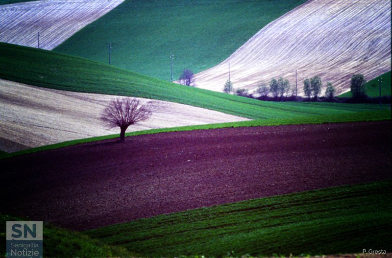 28/02/2018 - Paesaggio marchigiano