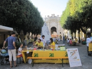 Costruiamo l\'energia