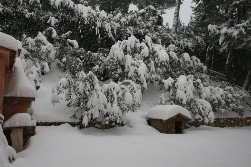La neve lungo le strade di Corinaldo