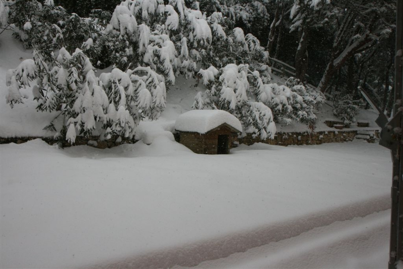 La neve lungo le strade di Corinaldo