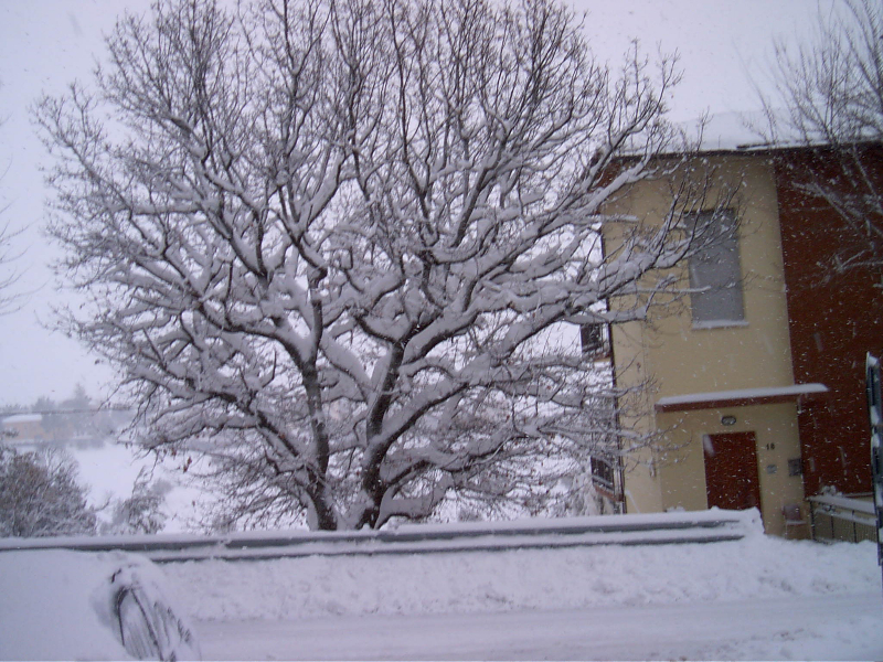 Un'abitazione di Ostra