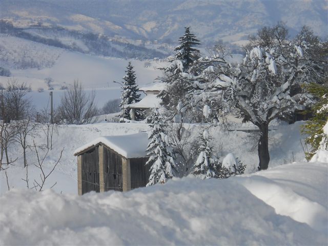 Scorci innevati da Arcevia