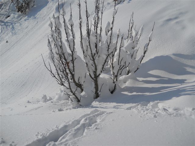 Deserto bianco ad Arcevia