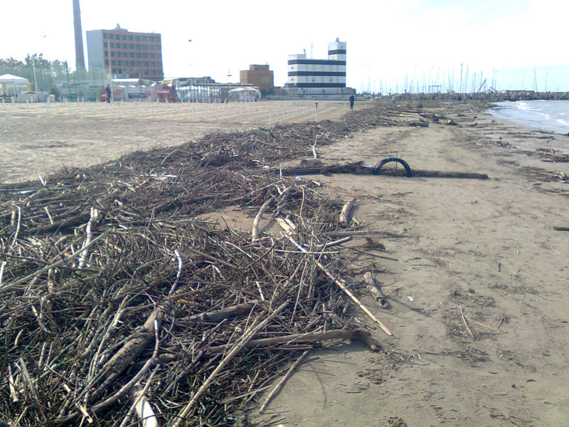 Detriti e rifiuti sulla spiaggia di Senigallia