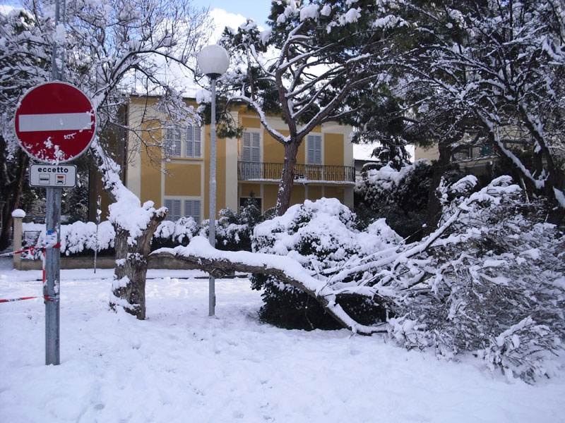 Viale Anita Garibaldi