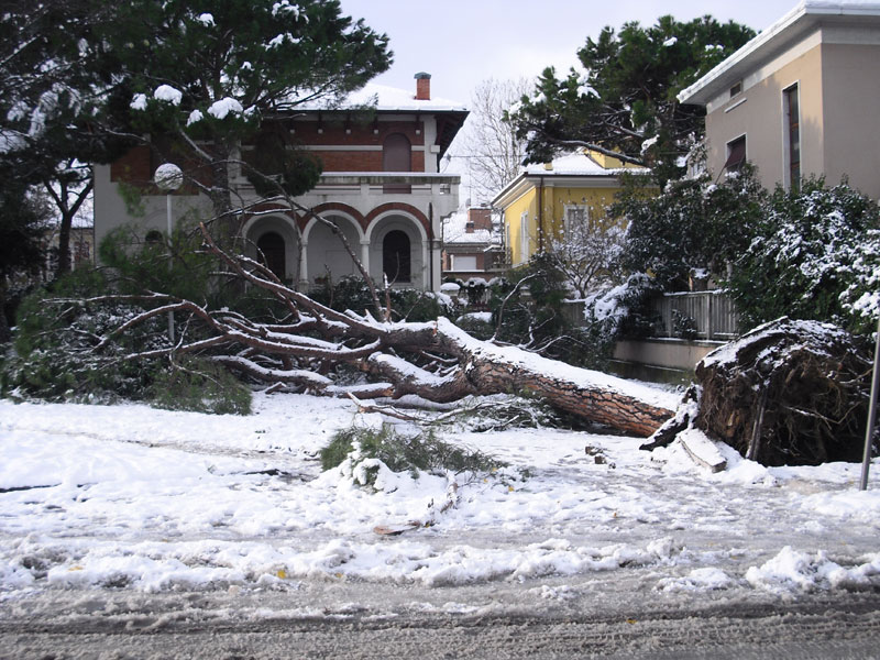 Viale Anita Garibaldi