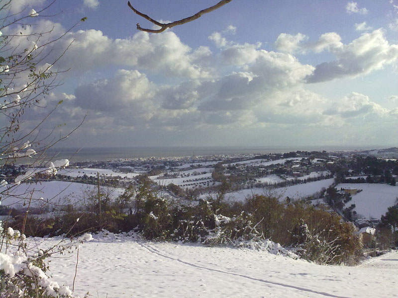 Da Scapezzano - Foto di Gabriele Palestrini
