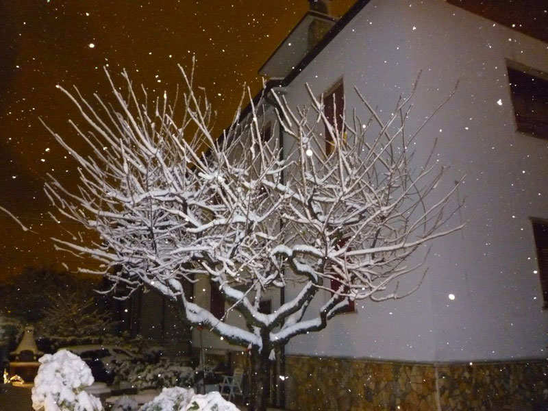 Foto di Paolo Formiconi