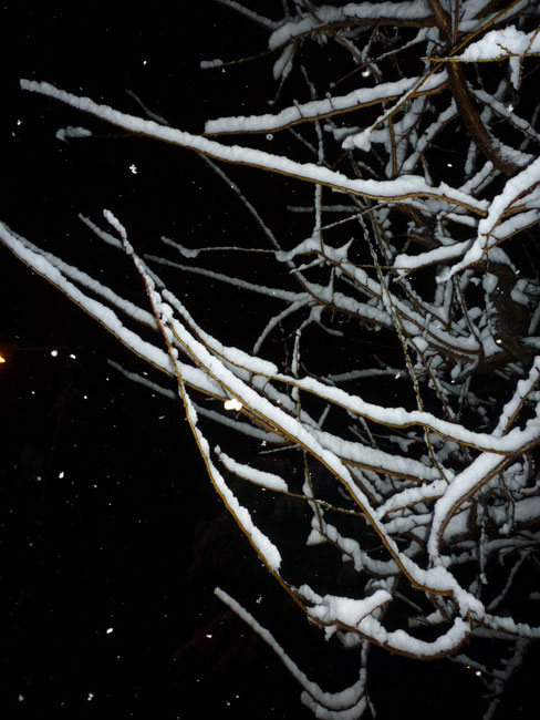 Foto di Paolo Formiconi