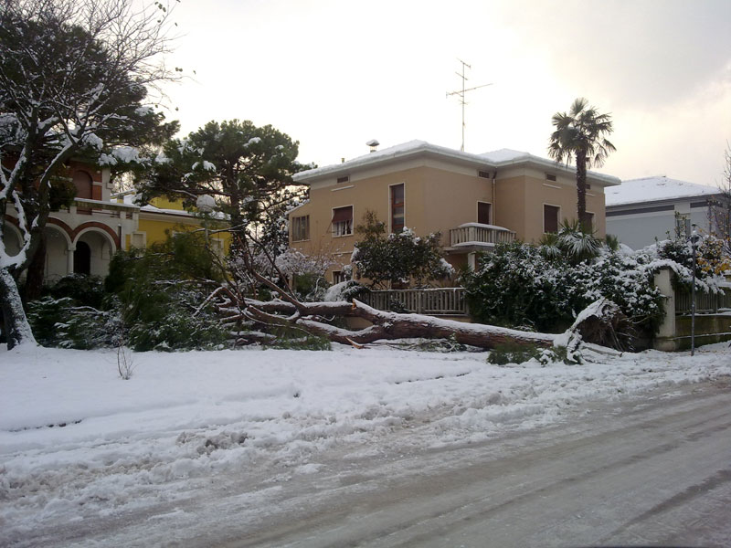 Viale Anita Garibaldi - Foto di Marco Corsaro