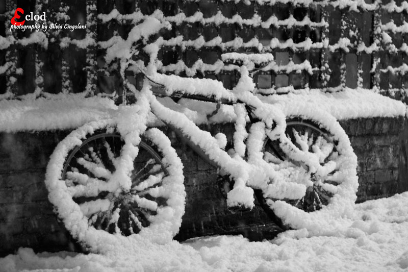 Foto di Silvia Cingolani