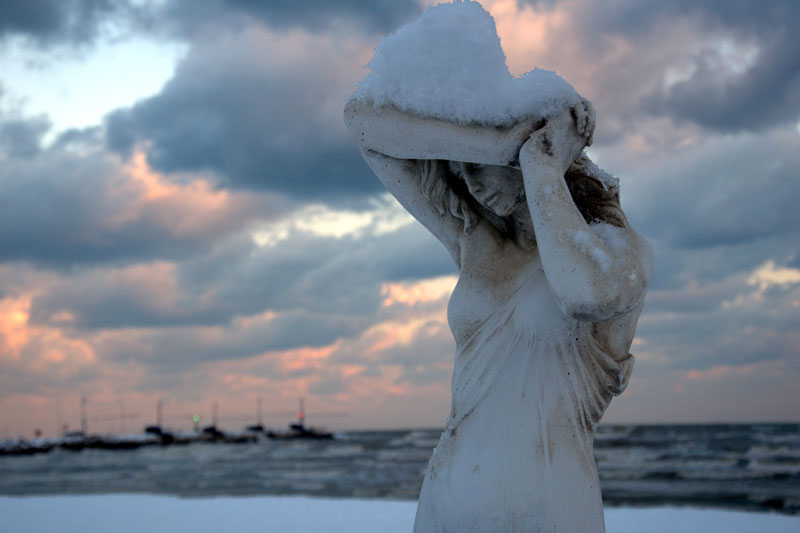 Sotto il peso della neve - Foto di Carlo Cavalletti