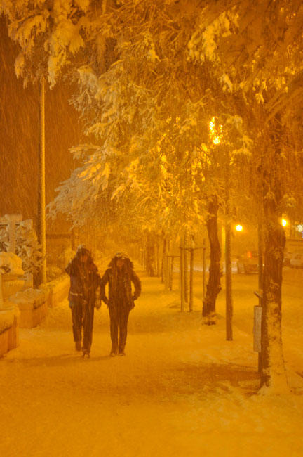 Lungomare Alighieri - Foto di Andrea Piangerelli