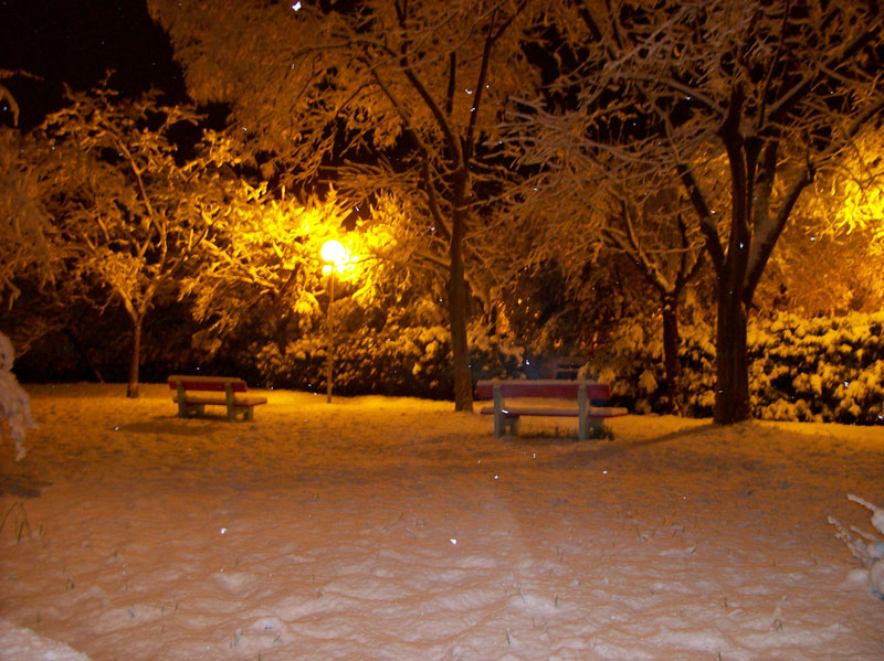 Giardini del Centro Tennistavolo - Foto di Ornella Politi