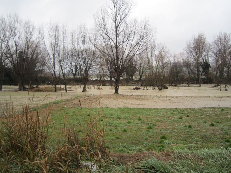 Il Misa in piena tra Passo Ripe e Brugnetto