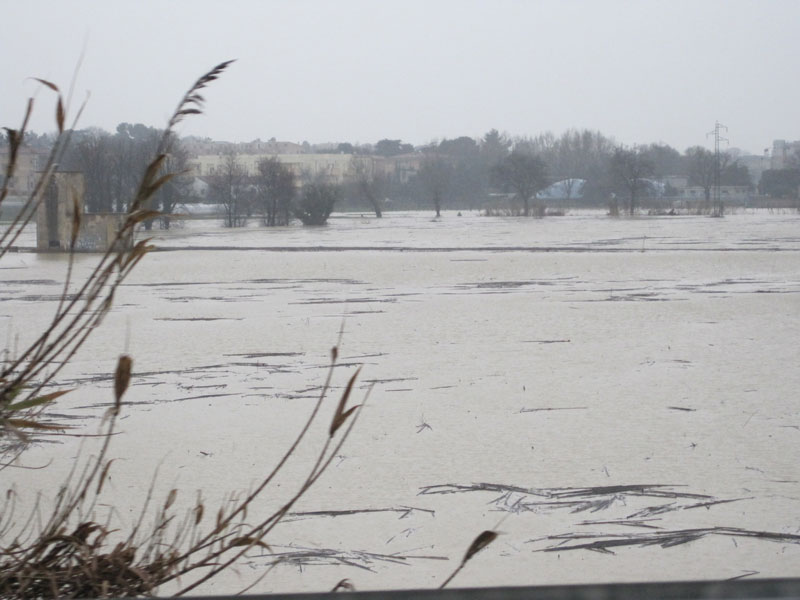 zona tra borgo Ribeca e borgo Bicchia, Senigallia