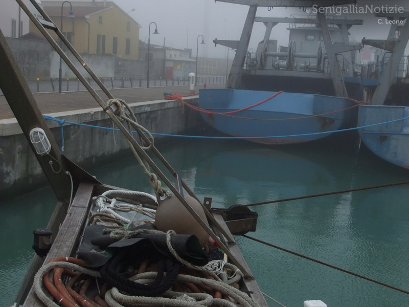 10/01/2014 - Navi dell'ex Navalmeccanico