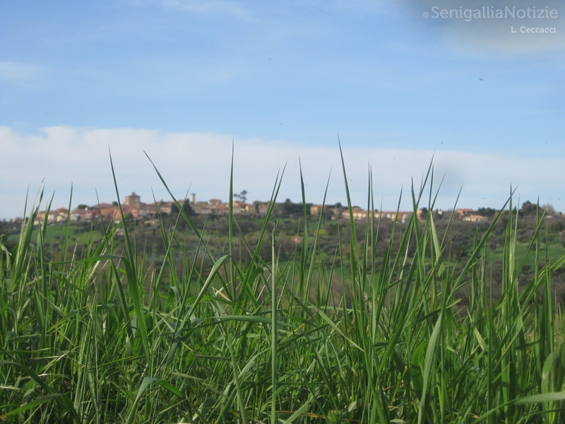 12/01/2014 - Scapezzano vista dal...basso