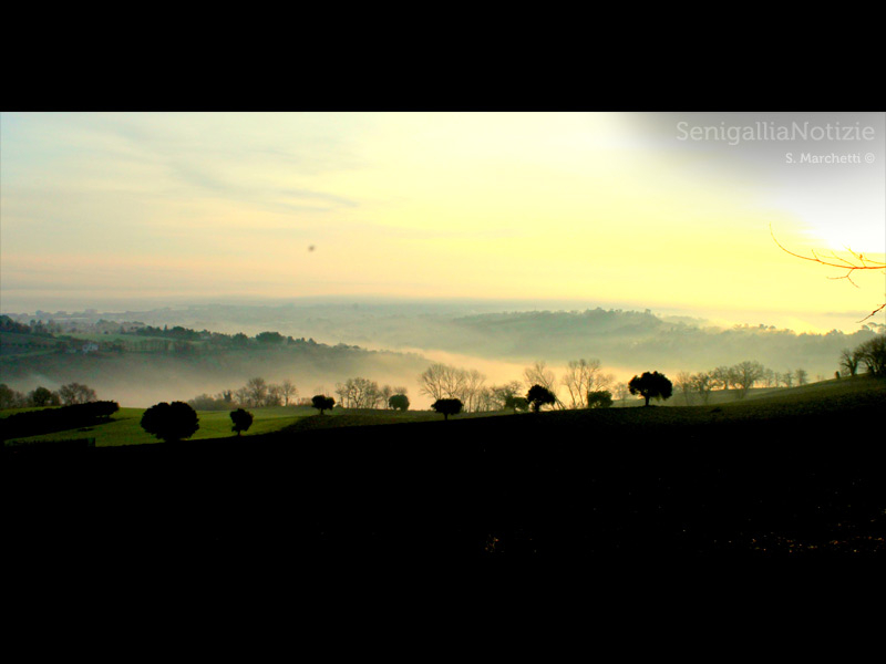 24/01/2014 - Mattina nebbiosa...