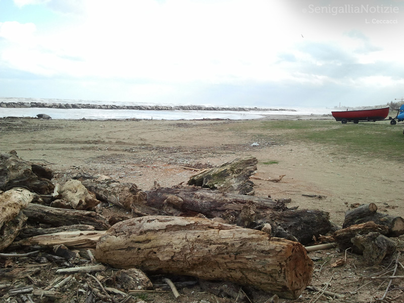 29/01/2014 - La spiaggia dopo pioggia e vento